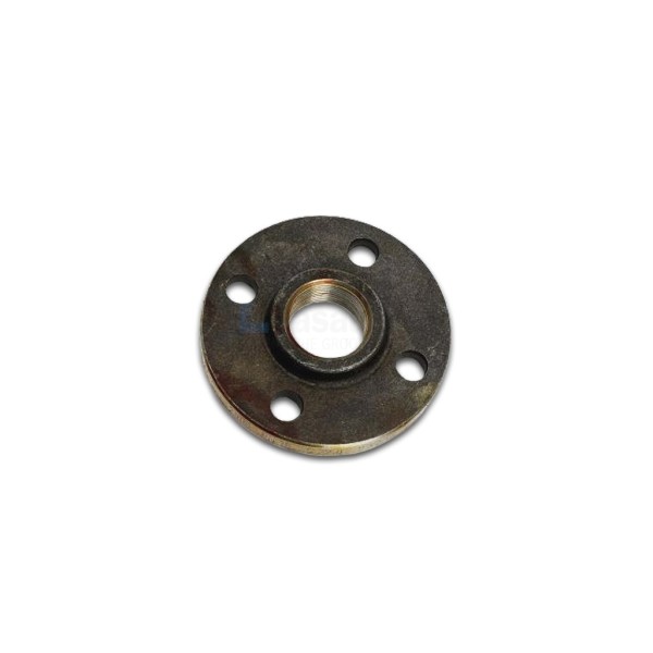 Draadflens EN1092-1(13) DN15 1/2" P250GH PN10/16/40