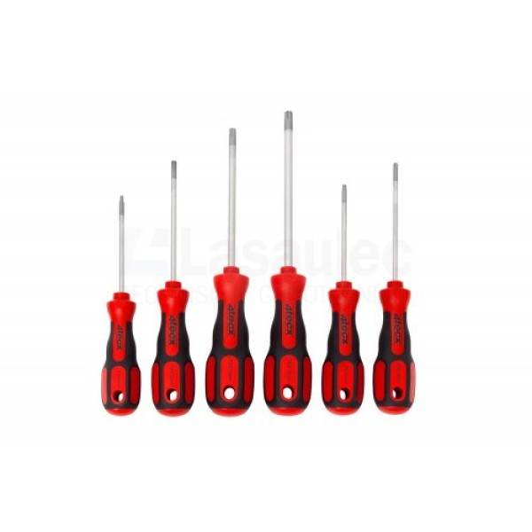 Schroevendraaierset 4Tecx torx T10-40 6-delig